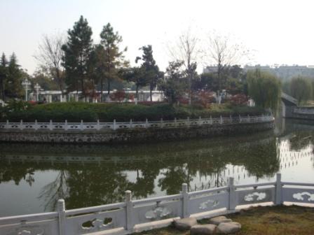 DSC037 (18)