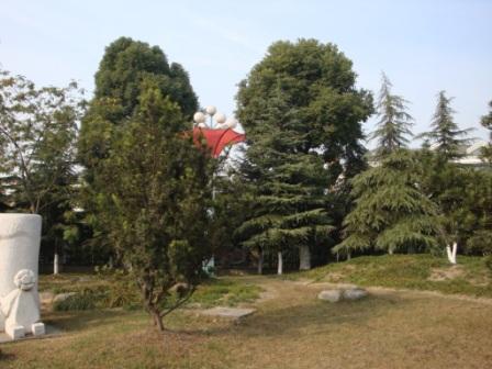 DSC037 (19)