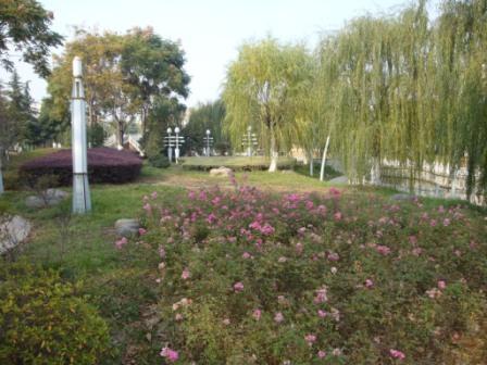 DSC037 (33)